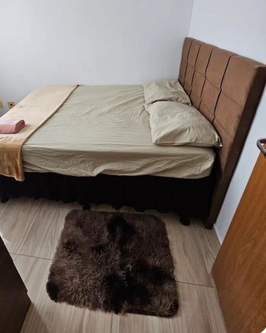 And Cozy Ap In Dated Apartment *